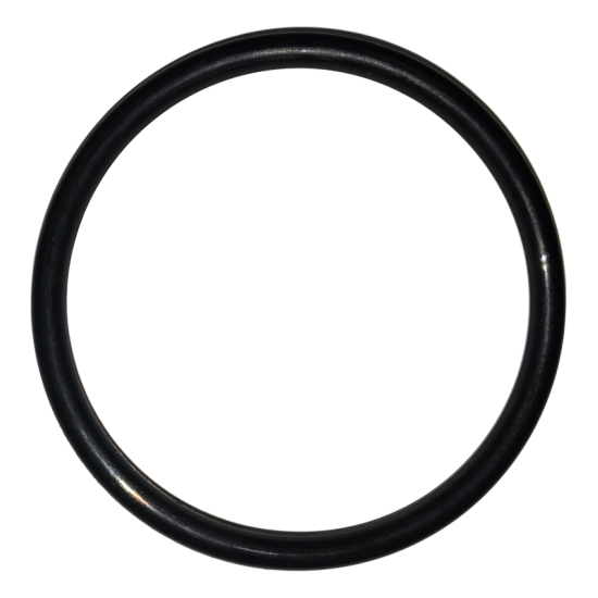 TAYLOR O-RING, 008904