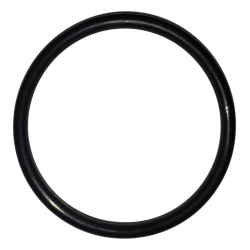 O Ring 2-3/4OD X .139W,  TAYLOR 150-152 ,part no 019998