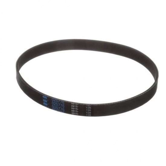 TAYLOR BELT, 025776