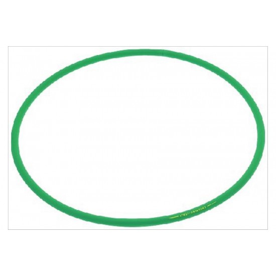 FIMAR BELT ø 8X920 mm,external ø 300 mm,CO1885,3062090