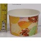 3oz Disposable Ice Cream Cup 