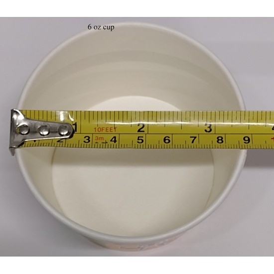 6oz Disposable Ice Cream Cup 