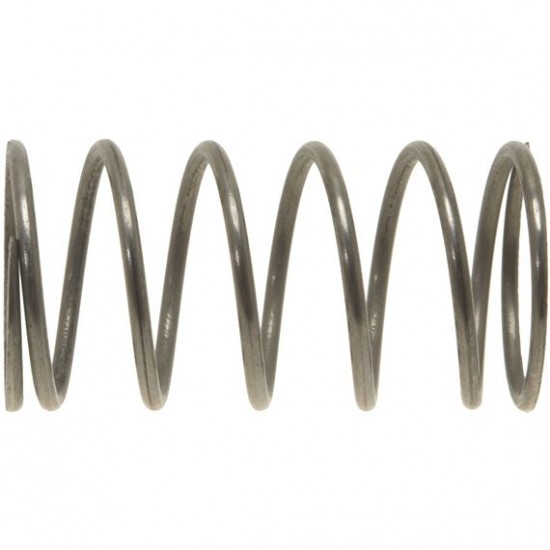 CARPIGIANI,SPRING PUMP ADJUSTER ø 17.4xh34 mm,IC178100960