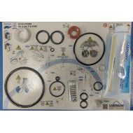 Carpigiani IC193-010082 TUNE UP KIT,CARPICARE KIT 191 241P & P/SP 6/12 MESI