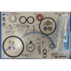 Carpigiani IC193-010082 TUNE UP KIT,CARPICARE KIT 191 241P & P/SP 6/12 MESI