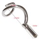 FIMAR Genuine Shaft and Spiral Hook 25-38/S-C Stainless Steel for Dough Mixer,SL3262
