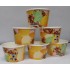 3oz Disposable Ice Cream Cup 