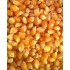 Popcorn Handy Pack Bulk 1x5kg 
