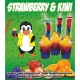FLAVOUR LABEL FOR FABY SLUSH MACHINE Size: 17X19 cm