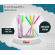 PLA Plastic Biodegradable NEON COLOR STRAIGHT  Individually Wrapped Mixed Straws With a Sharp End 12mm x 240mm